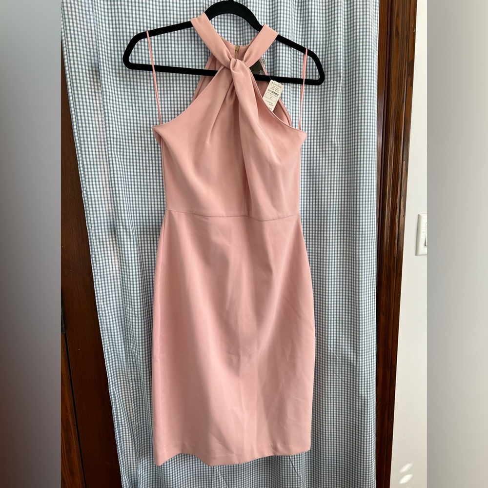 Neiman Marcus Blush Pink Backless Dress